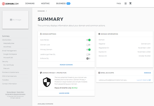Screenshot of Domain.com summary page